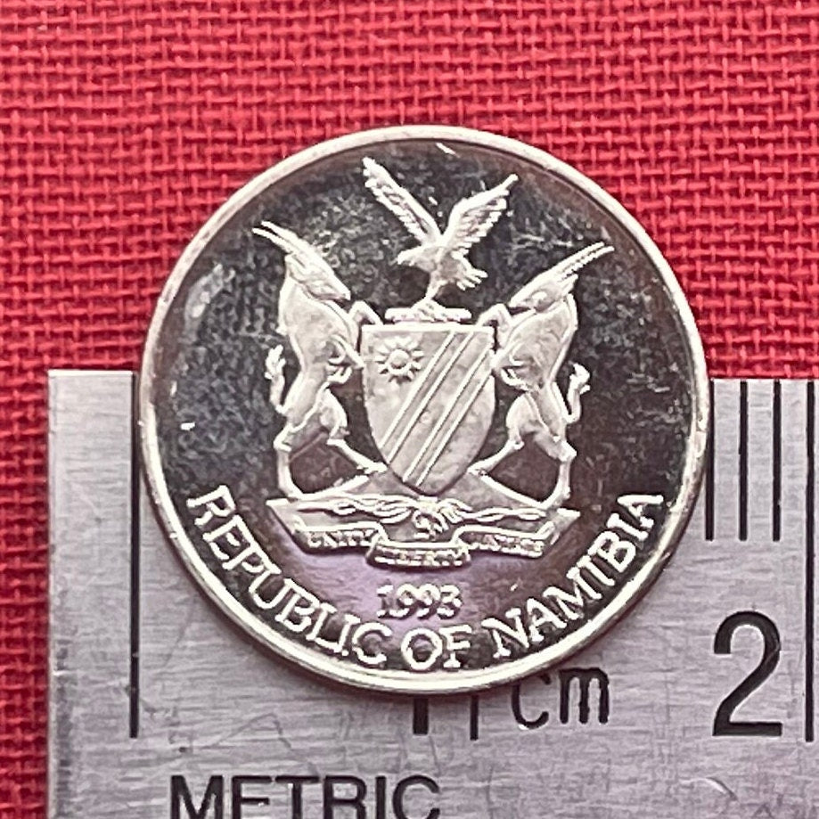 Aloe Plant 5 Cents Namibia Authentic Coin Money for Jewelry and Craft Making (Mopane Aloe) (Aloe Lotion)