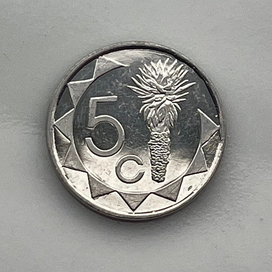 Aloe Plant 5 Cents Namibia Authentic Coin Money for Jewelry and Craft Making (Mopane Aloe) (Aloe Lotion)