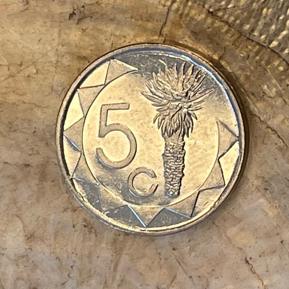 Aloe Plant 5 Cents Namibia Authentic Coin Money for Jewelry and Craft Making (Mopane Aloe) (Aloe Lotion)
