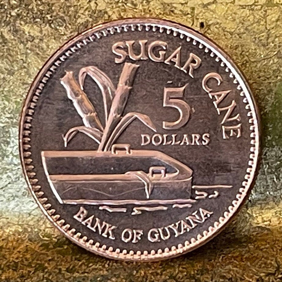 Flat-Bottomed Punt & Sugar Cane 5 Dollars Guyana Authentic Coin Money for Jewelry and Craft Making