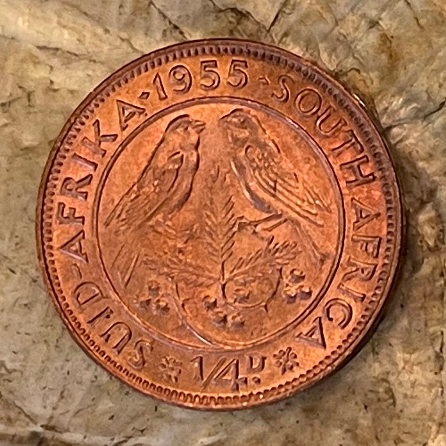 Cape Sparrows on Acacia Quarter-Penny South Africa Authentic Coin Money for Jewelry and Craft Making (1955) (Sweet Thorn) (Farthing)
