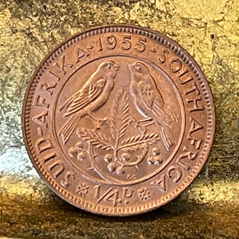 Cape Sparrows on Acacia Quarter-Penny South Africa Authentic Coin Money for Jewelry and Craft Making (1955) (Sweet Thorn) (Farthing)