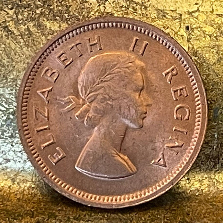 Cape Sparrows on Acacia Quarter-Penny South Africa Authentic Coin Money for Jewelry and Craft Making (1955) (Sweet Thorn) (Farthing)