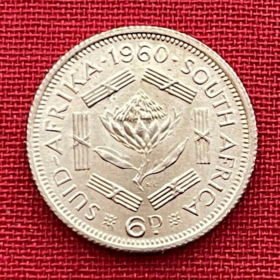 Sugar Bush Silver Sixpence South Africa Authentic Coin Money for Jewelry and Craft Making (1960) (Protea)