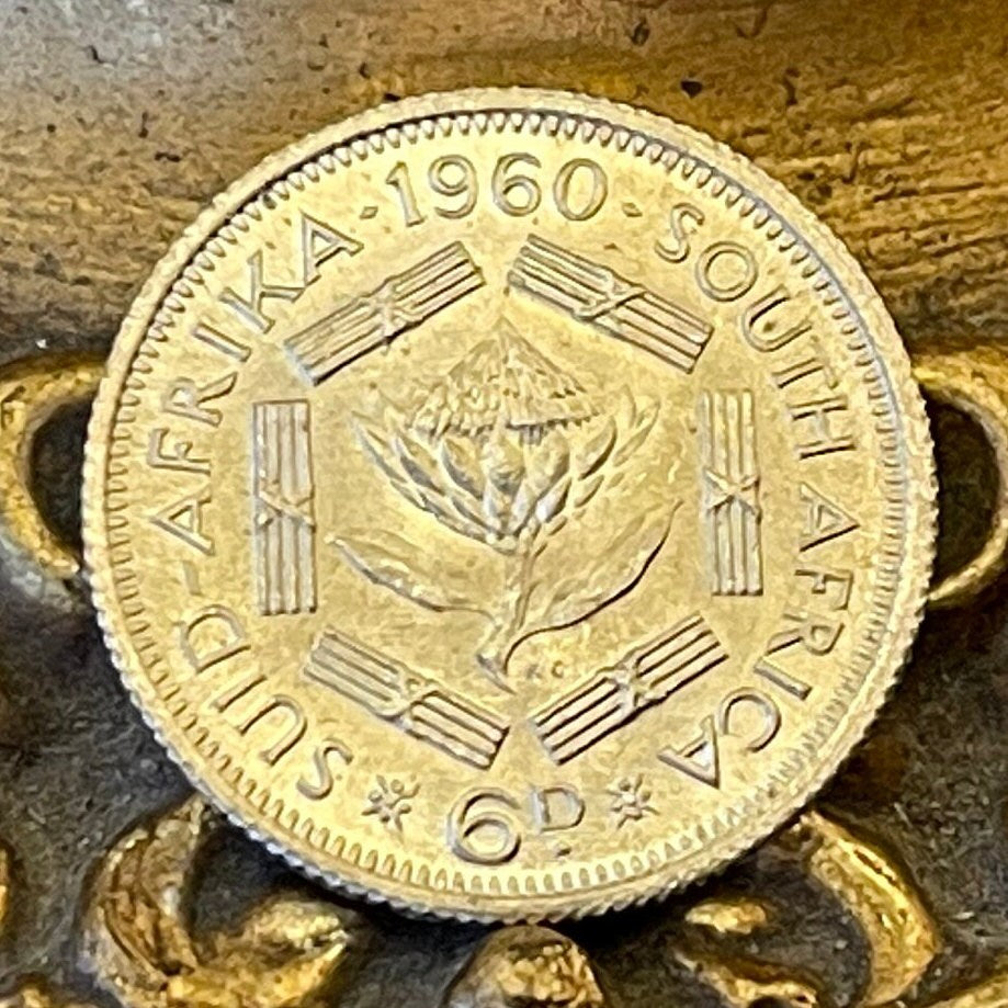 Sugar Bush Silver Sixpence South Africa Authentic Coin Money for Jewelry and Craft Making (1960) (Protea)