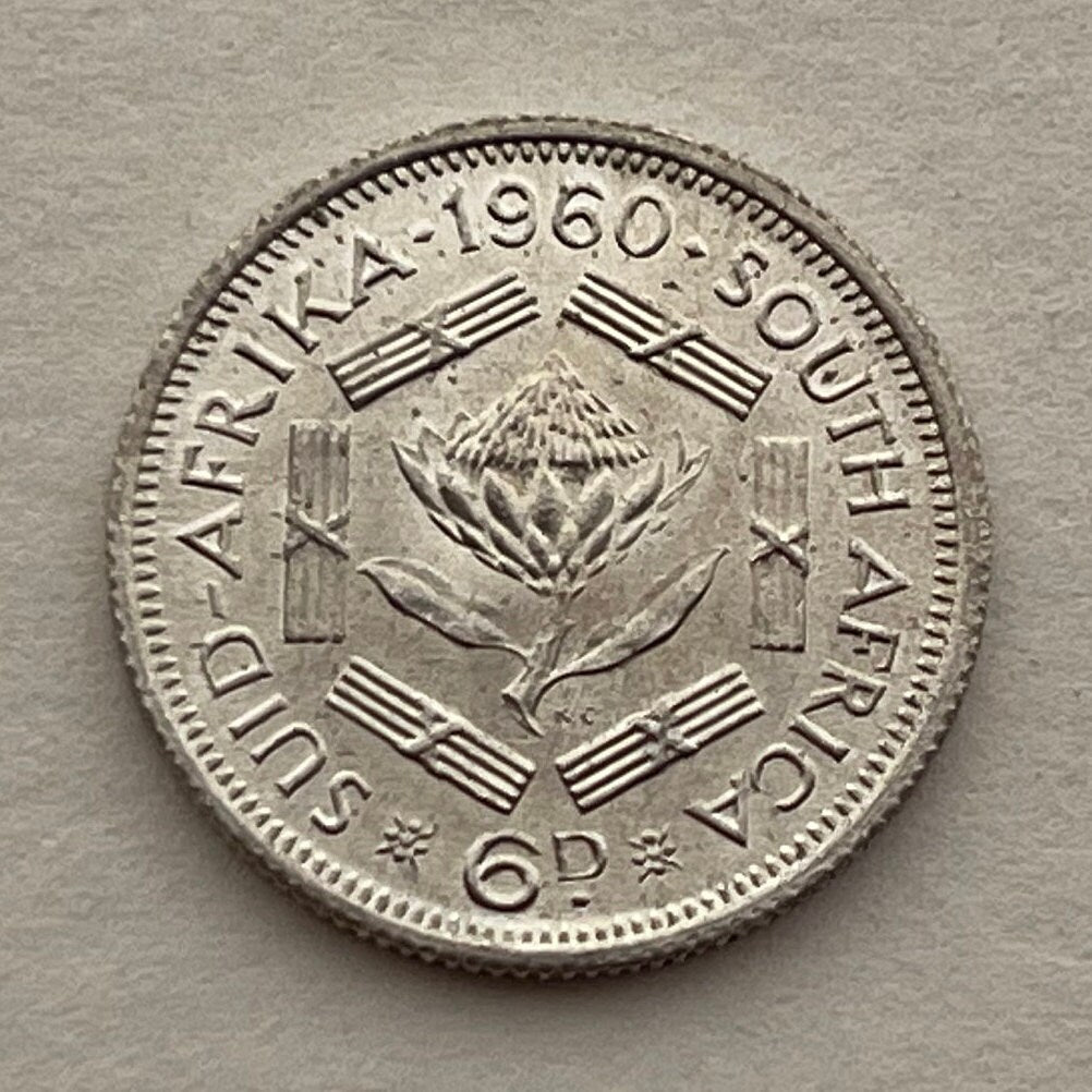Sugar Bush Silver Sixpence South Africa Authentic Coin Money for Jewelry and Craft Making (1960) (Protea)