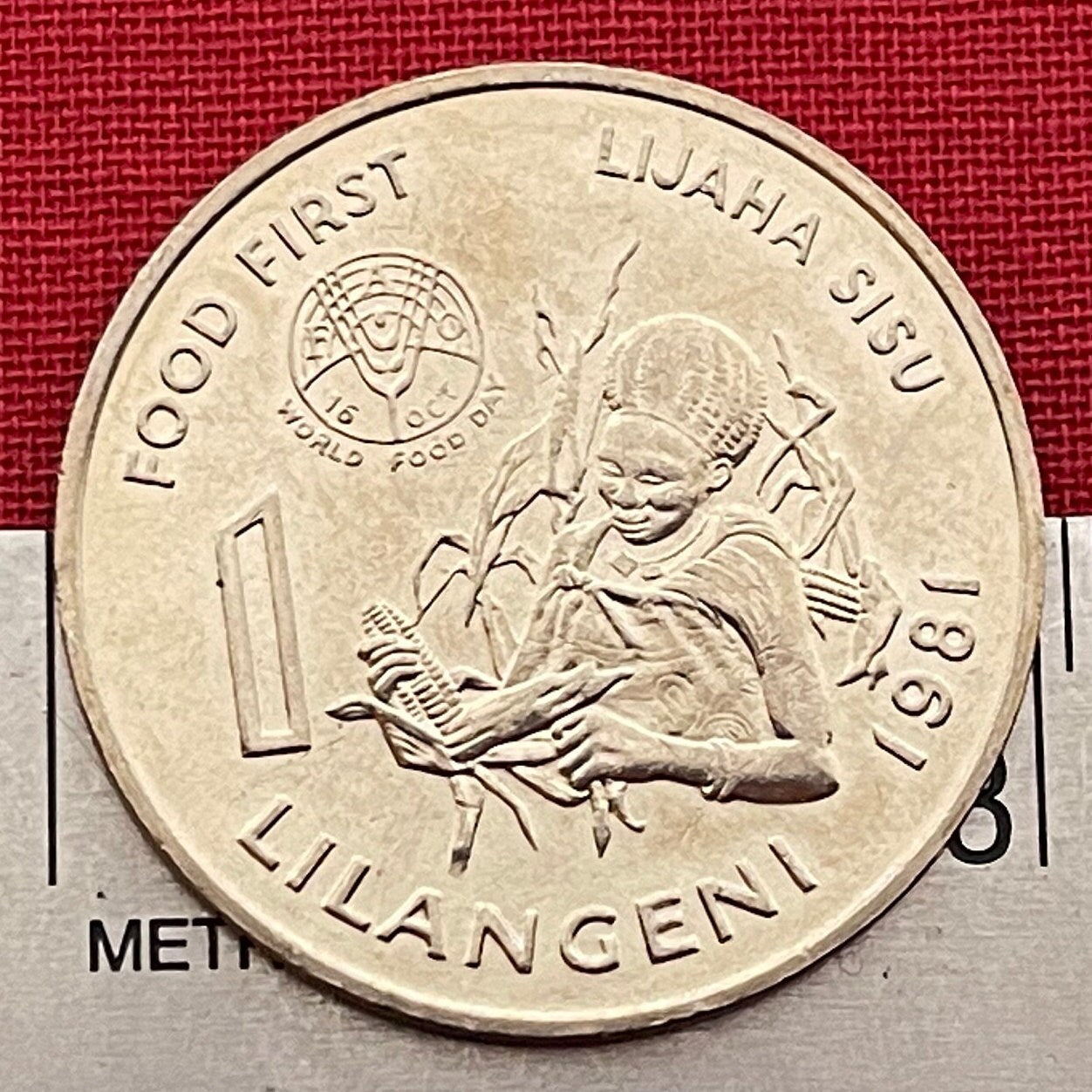 Woman with Beehive Sicolo Hairdo, Husking Corn & King Sobhuza 1 Lilangeni Swaziland Authentic Coin Money for Jewelry (1981) (Eswatini) Maize