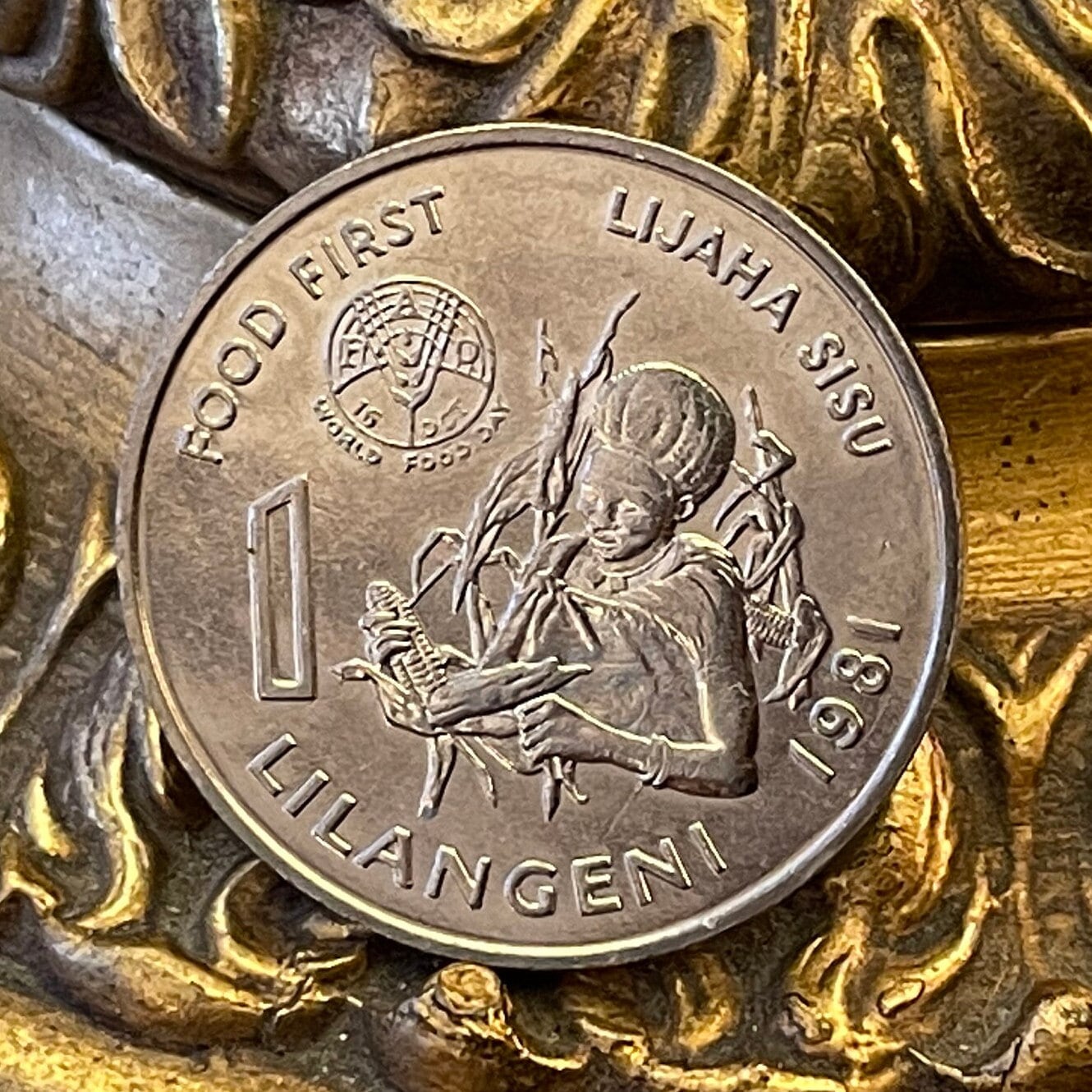 Woman with Beehive Sicolo Hairdo, Husking Corn & King Sobhuza 1 Lilangeni Swaziland Authentic Coin Money for Jewelry (1981) (Eswatini) Maize