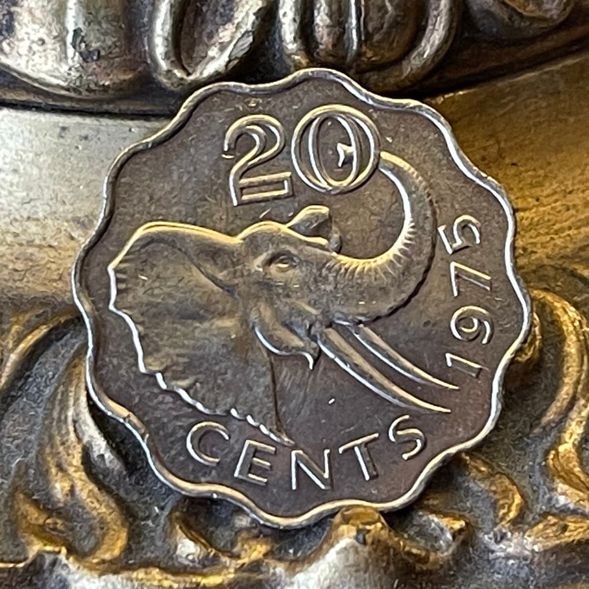 Bush Elephant & King Sobhuza II 20 Cents Swaziland Authentic Coin Money for Jewelry (Eswatini) (Scalloped Edge) (Savannah Elephant)