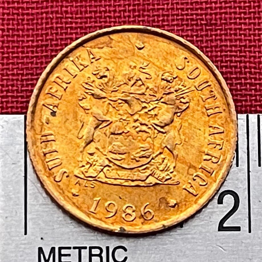 Cape Sparrows 1 Cent South Africa Authentic Coin Money for Jewelry and Craft Making