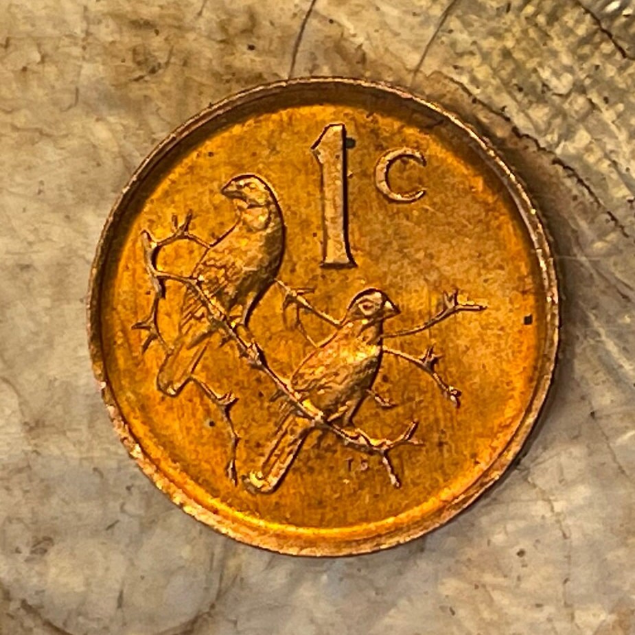 Cape Sparrows 1 Cent South Africa Authentic Coin Money for Jewelry and Craft Making