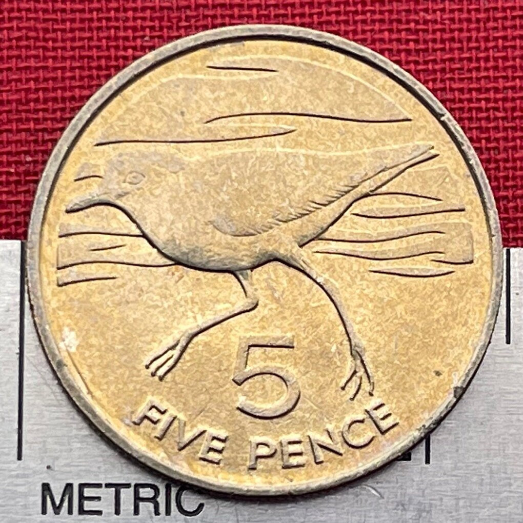 Wirebird 5 Pence Saint Helena Authentic Coin Money for Jewelry (Saint Helena Plover) (Ascension and Tristan da Cunha) 1984 (Napoleon Exile)