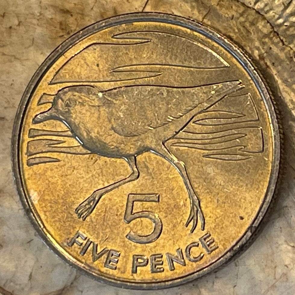 Wirebird 5 Pence Saint Helena Authentic Coin Money for Jewelry (Saint Helena Plover) (Ascension and Tristan da Cunha) 1984 (Napoleon Exile)