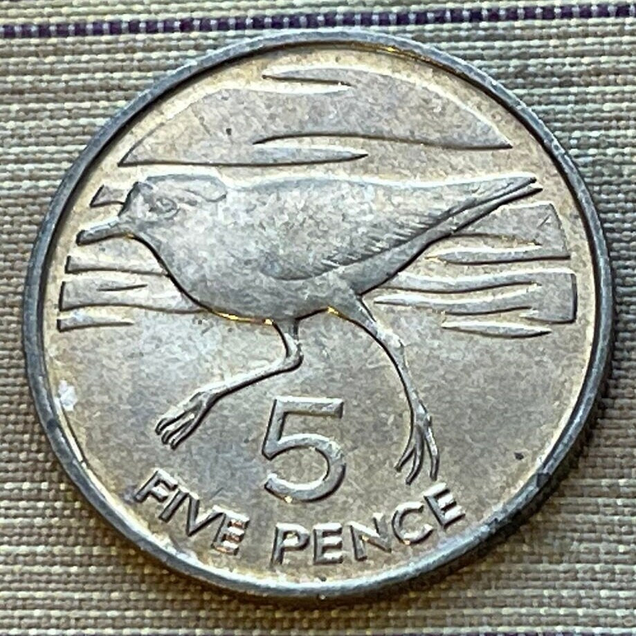 Wirebird 5 Pence Saint Helena Authentic Coin Money for Jewelry (Saint Helena Plover) (Ascension and Tristan da Cunha) 1984 (Napoleon Exile)