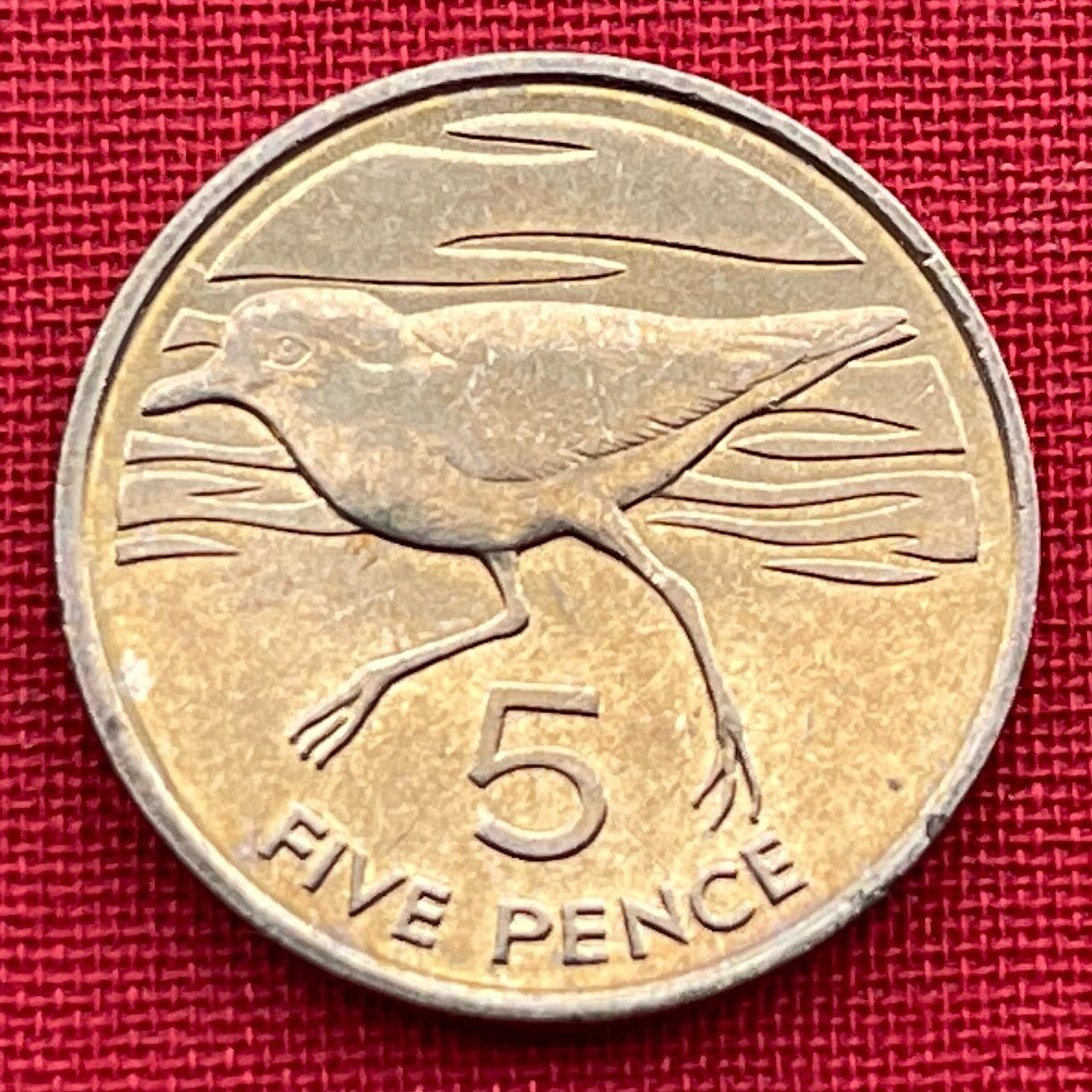 Wirebird 5 Pence Saint Helena Authentic Coin Money for Jewelry (Saint Helena Plover) (Ascension and Tristan da Cunha) 1984 (Napoleon Exile)