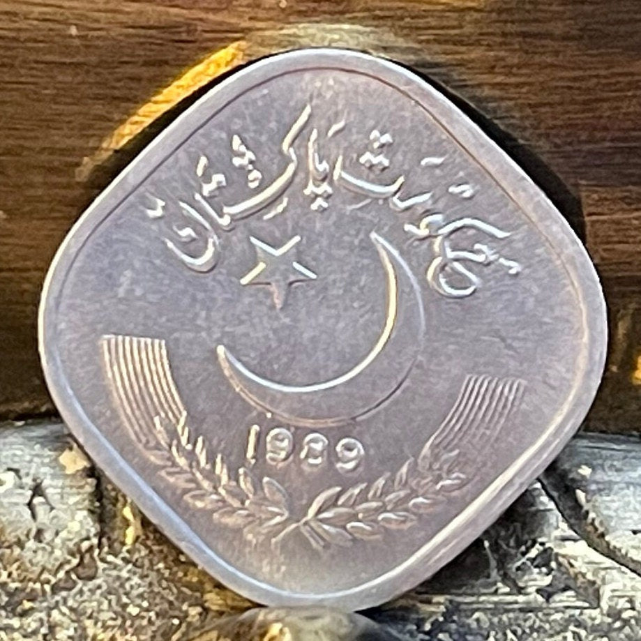 Star and Crescent 5 Paisa Pakistan Authentic Coin Money for Jewelry and Craft Making (Sugar Cane)