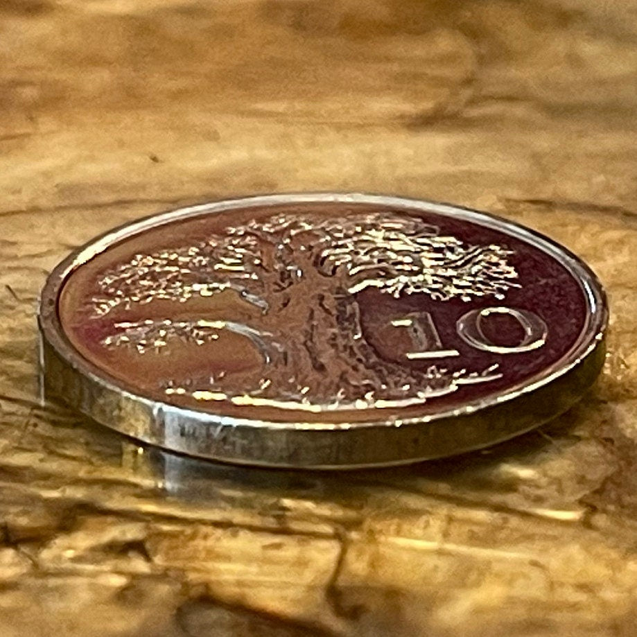 Baobab Tree & Zimbabwe Bird 10 Cents Bacheleur Eagle Authentic Coin Money for Jewelry and Craft Making