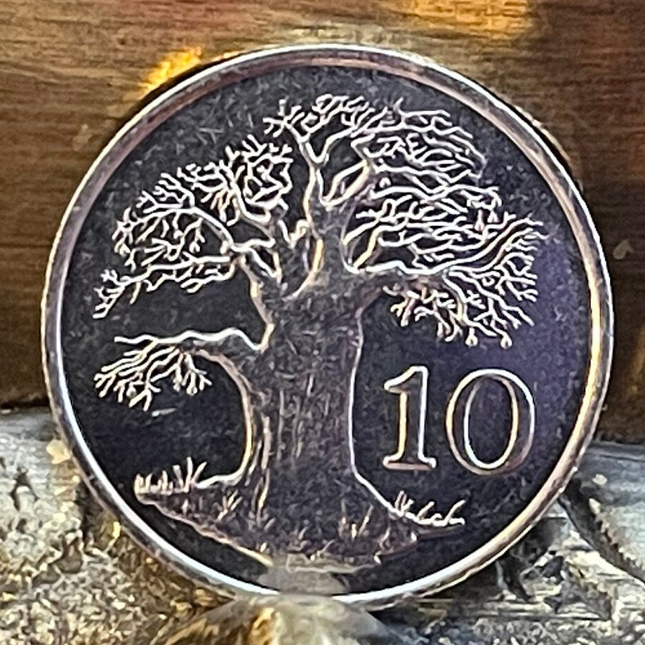 Baobab Tree & Zimbabwe Bird 10 Cents Bacheleur Eagle Authentic Coin Money for Jewelry and Craft Making