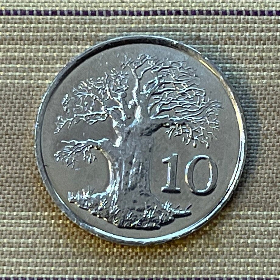 Baobab Tree & Zimbabwe Bird 10 Cents Bacheleur Eagle Authentic Coin Money for Jewelry and Craft Making