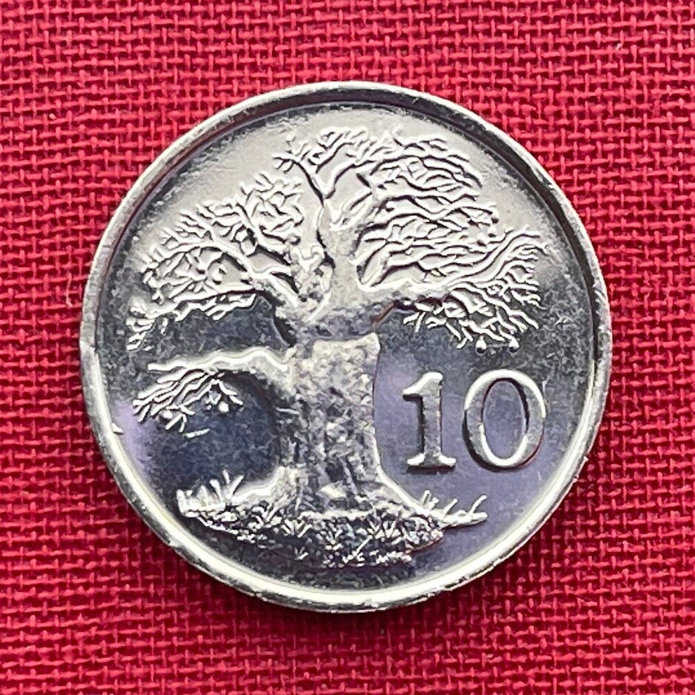 Baobab Tree & Zimbabwe Bird 10 Cents Bacheleur Eagle Authentic Coin Money for Jewelry and Craft Making