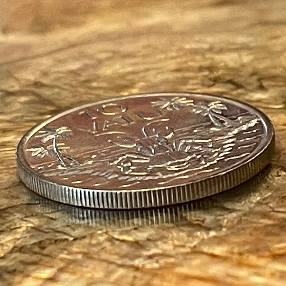 Coconut Crab 10 Vatu Vanuatu Authentic Coin Money for Jewelry and Craft Making (Robber Crab) (Palm Thief) (Hermit Crab) (Melanesia)