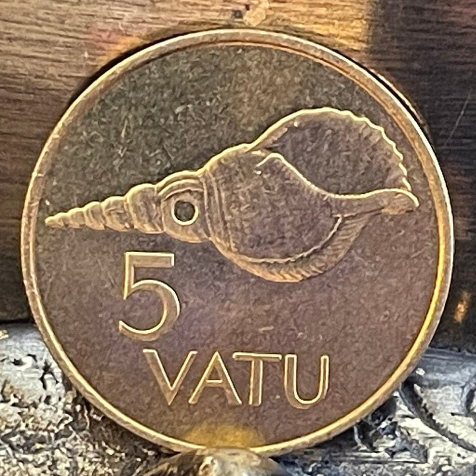 Triton Shell Trumpet (Large) 5 Vatu Vanuatu Authentic Coin Money for Jewelry and Craft Making (Horagai) (Sangu) (Pūtātara)