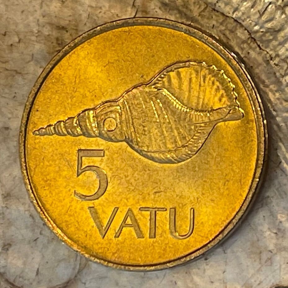 Triton Shell Trumpet (Large) 5 Vatu Vanuatu Authentic Coin Money for Jewelry and Craft Making (Horagai) (Sangu) (Pūtātara)