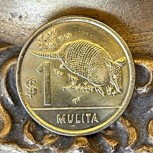 Armadillo 1 Peso Uruguay Authentic Coin Money for Jewelry and Craft Making (Mulita) (Hoover Hog) (Charango)