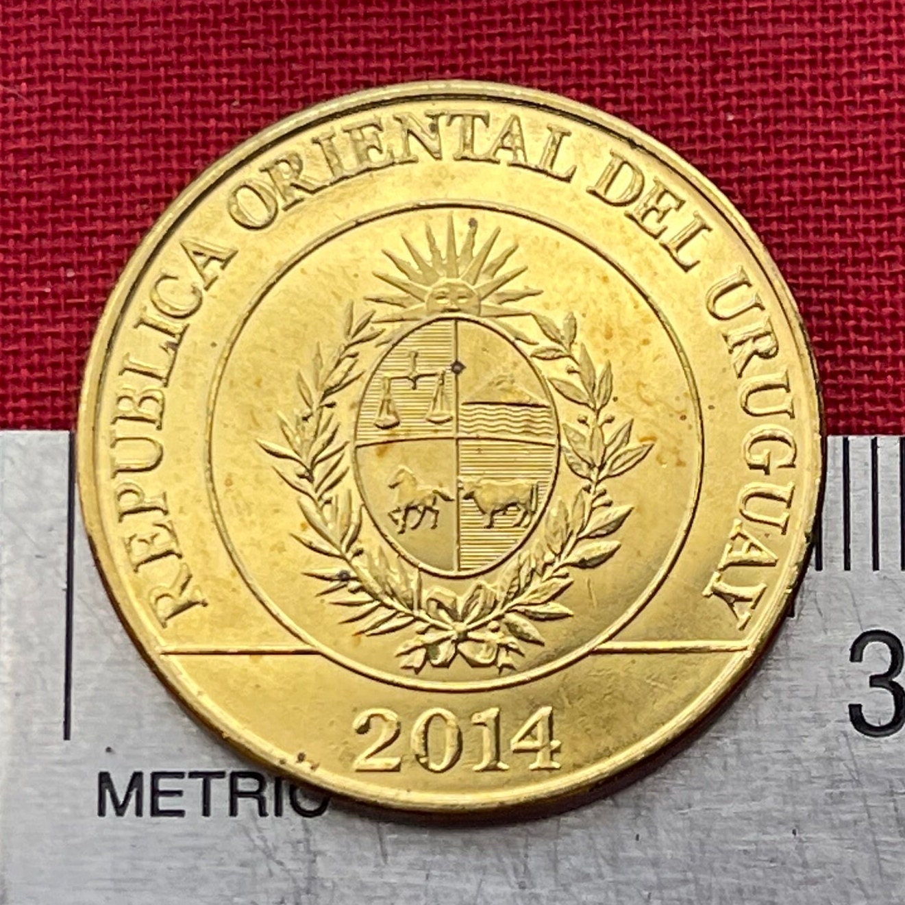 Greater Rhea 5 Pesos Uruguay Authentic Coin Money for Jewelry and Craft Making (Ñandu) (Ratite)