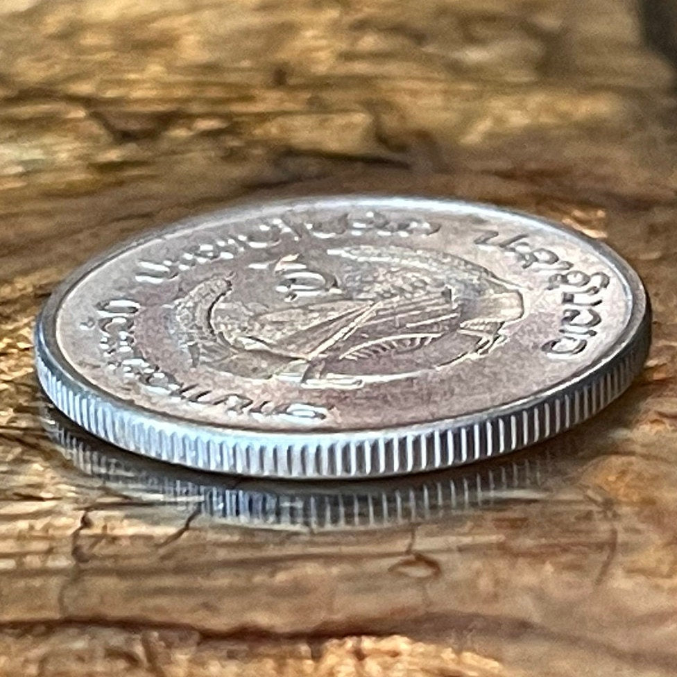 Water Buffalo Pulls Plough in Rice Paddy 20 Att Laos Authentic Coin Money for Jewelry and Craft Making (Taurus)