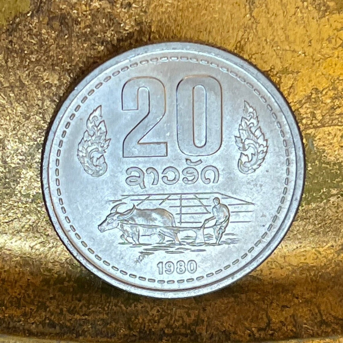 Water Buffalo Pulls Plough in Rice Paddy 20 Att Laos Authentic Coin Money for Jewelry and Craft Making (Taurus)