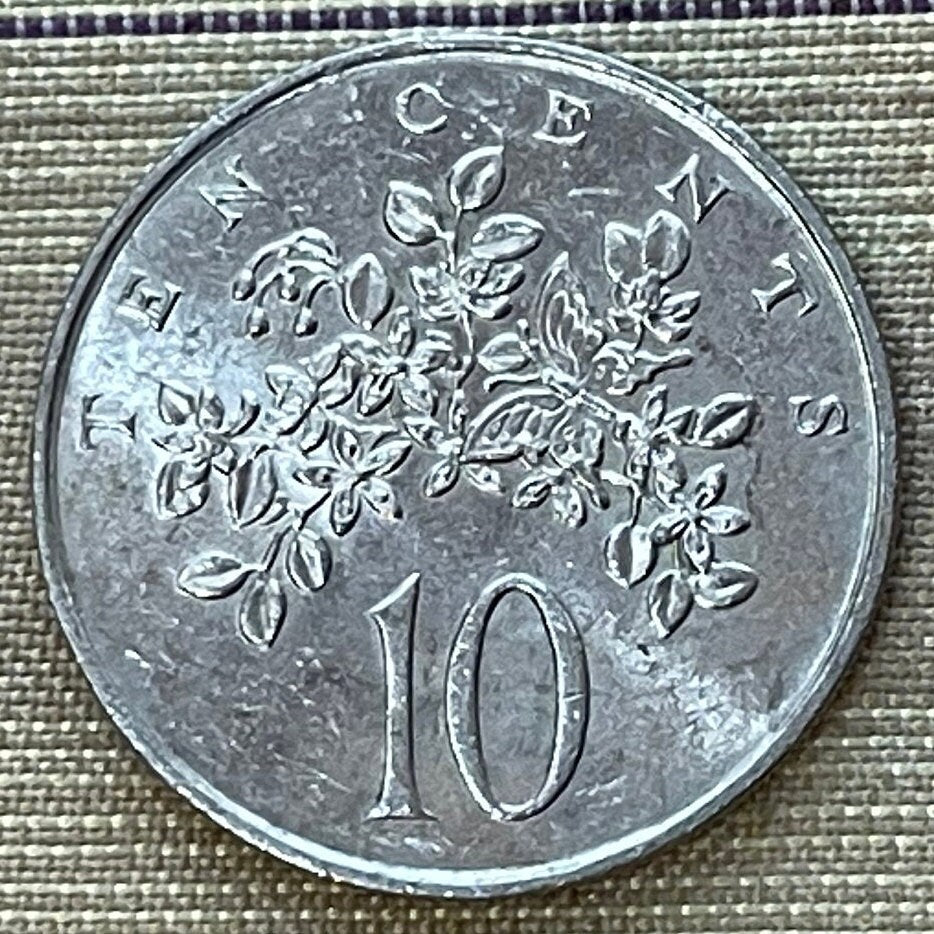 Homerus Swallowtail Butterfly & Roughbark Lignum-Vitae Flowers 10 Cents Jamaica Authentic Coin Money for Jewelry (CONDITION: FINE)