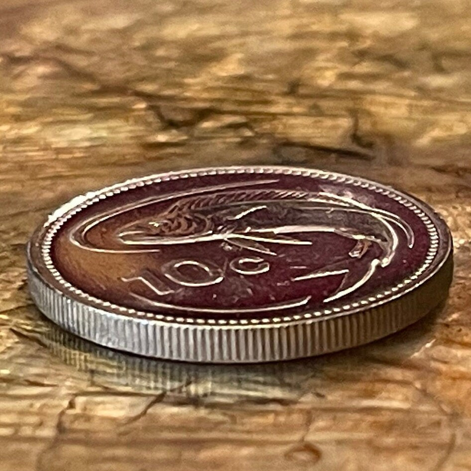 Mahi-mahi 10 Cents Malta Authentic Coin Money for Jewelry and Craft Making (Dolphinfish) (Lampuki) (Lampuka) (Dorado)