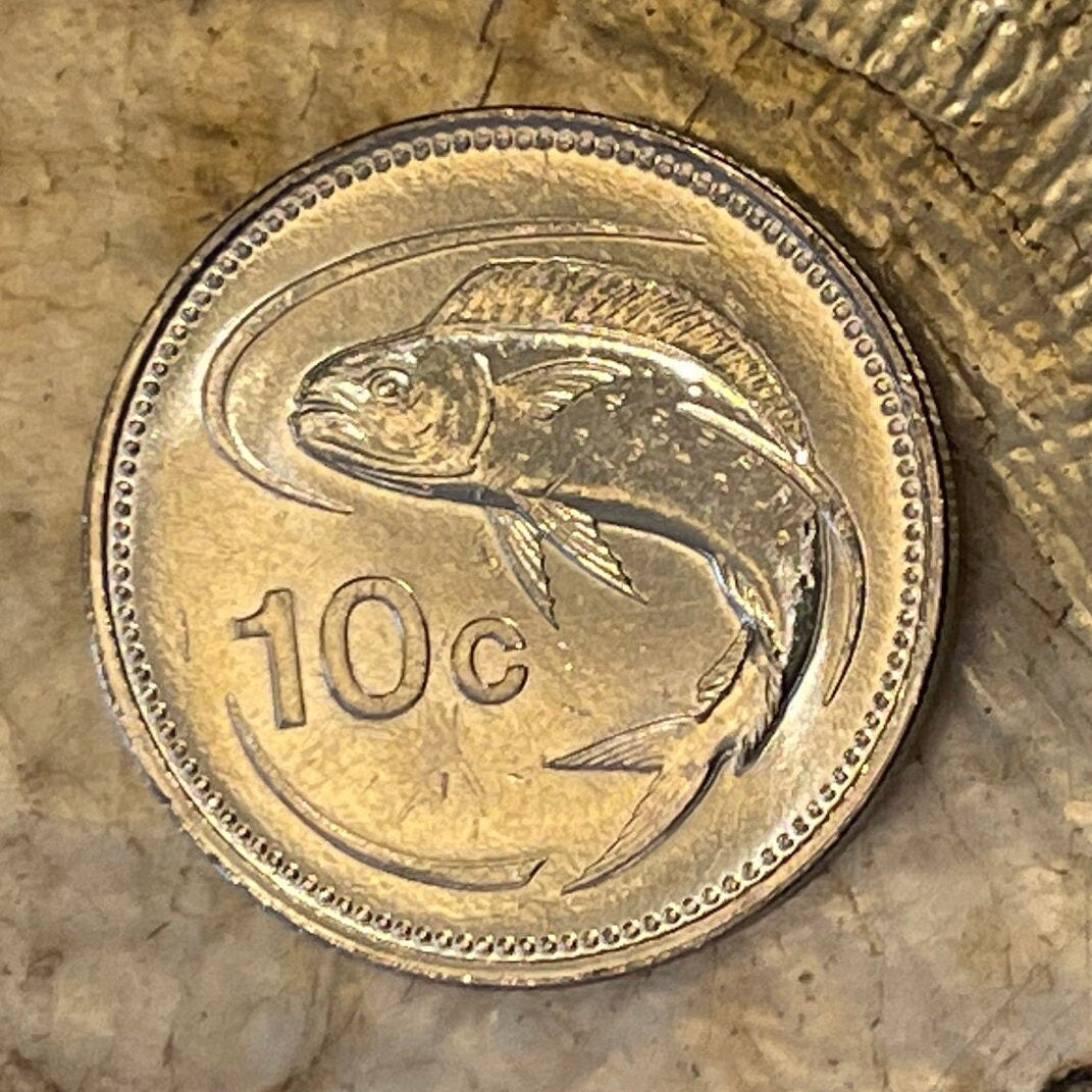 Mahi-mahi 10 Cents Malta Authentic Coin Money for Jewelry and Craft Making (Dolphinfish) (Lampuki) (Lampuka) (Dorado)
