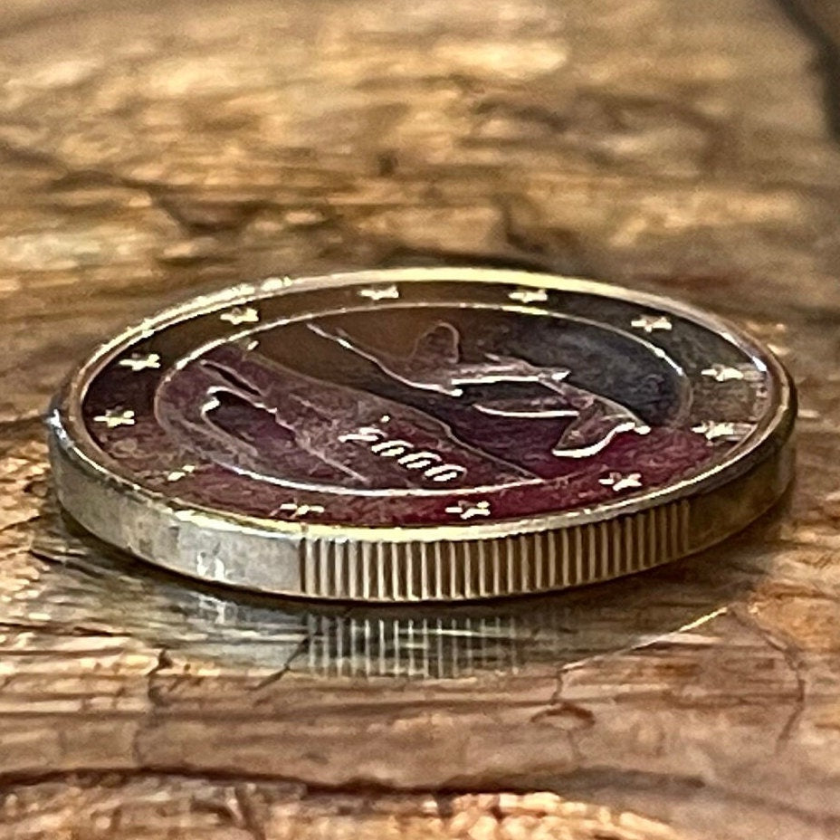 Whooper Swans 1 Euro Finland Authentic Coin Money for Jewelry and Craft Making (Trumpeter Swan) (Swan Song) (Wild Swan) (Bimetallic)