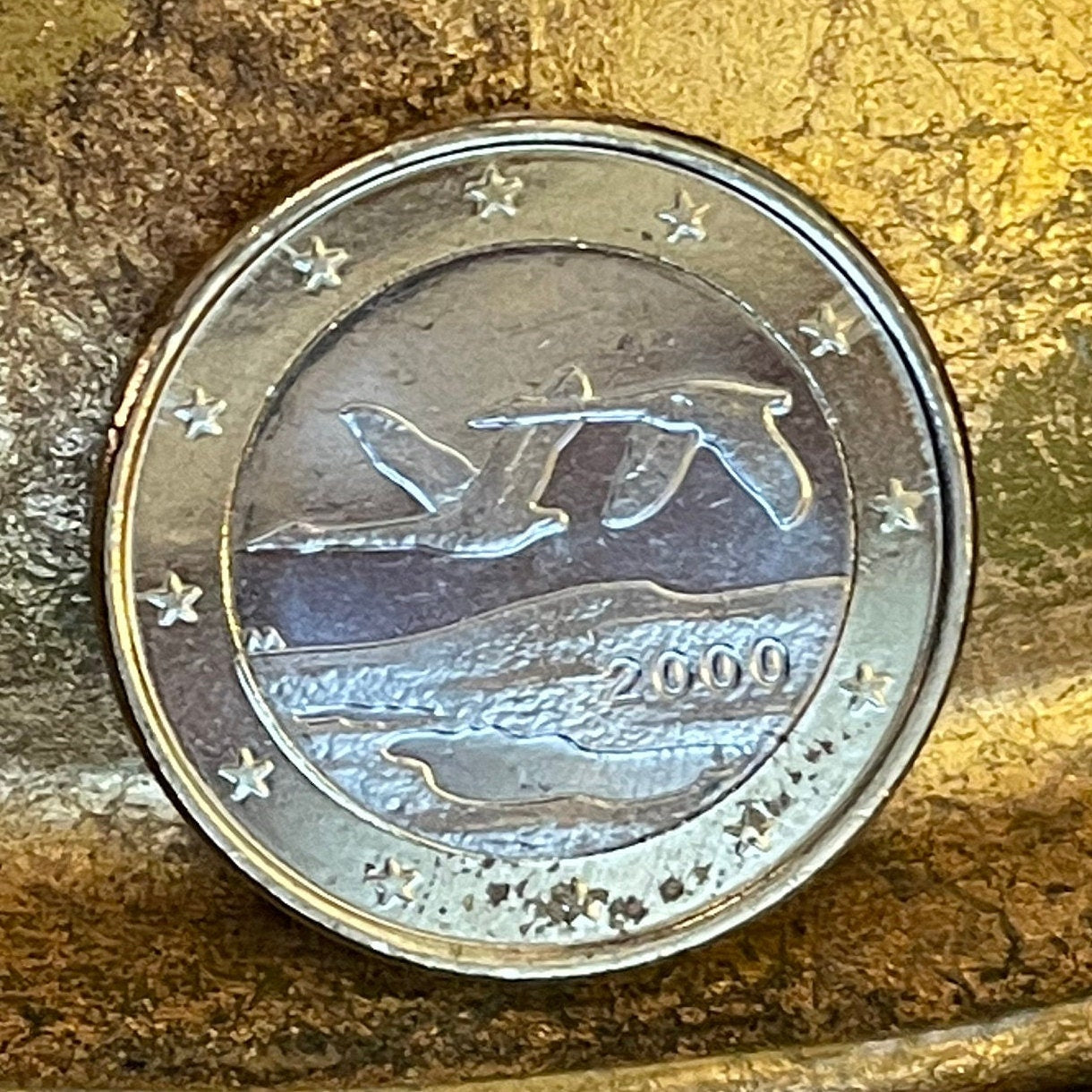 Whooper Swans 1 Euro Finland Authentic Coin Money for Jewelry and Craft Making (Trumpeter Swan) (Swan Song) (Wild Swan) (Bimetallic)