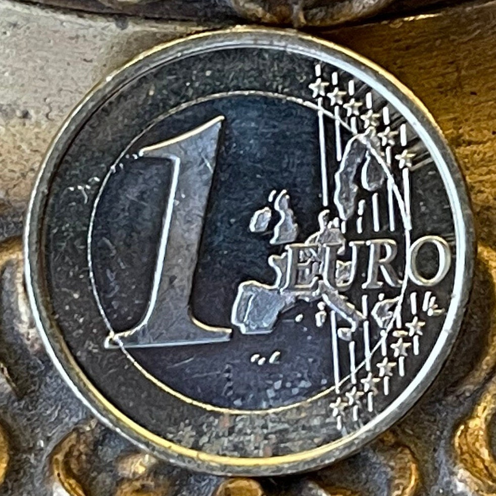 Whooper Swans 1 Euro Finland Authentic Coin Money for Jewelry and Craft Making (Trumpeter Swan) (Swan Song) (Wild Swan) (Bimetallic)