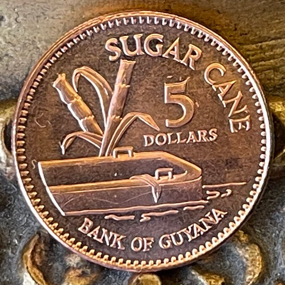 Flat-Bottomed Punt & Sugar Cane 5 Dollars Guyana Authentic Coin Money for Jewelry and Craft Making