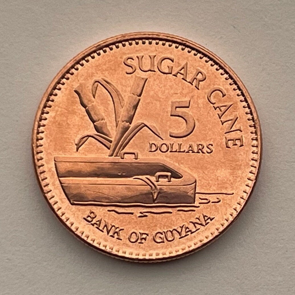 Flat-Bottomed Punt & Sugar Cane 5 Dollars Guyana Authentic Coin Money for Jewelry and Craft Making