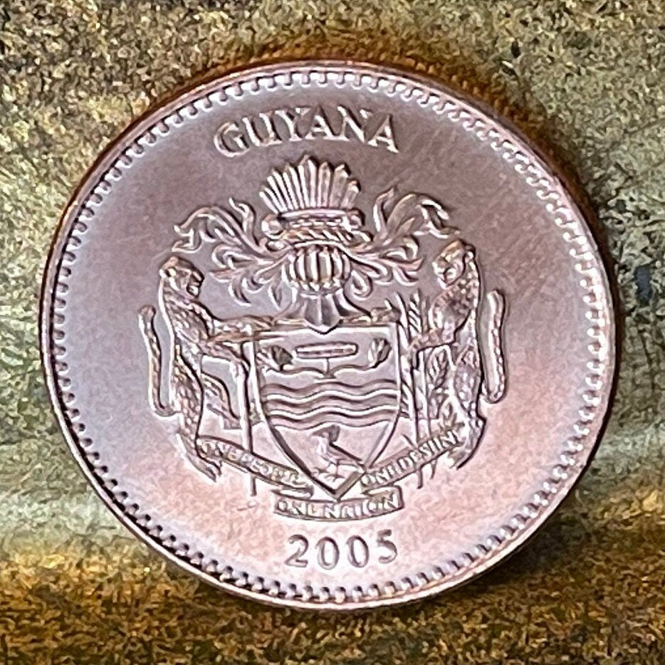 Flat-Bottomed Punt & Sugar Cane 5 Dollars Guyana Authentic Coin Money for Jewelry and Craft Making