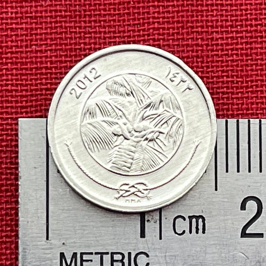 Coconut Palm 1 Laari Maldives Authentic Coin Money for Jewelry and Craft Making (Tropical Islands)
