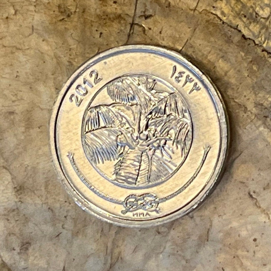 Coconut Palm 1 Laari Maldives Authentic Coin Money for Jewelry and Craft Making (Tropical Islands)