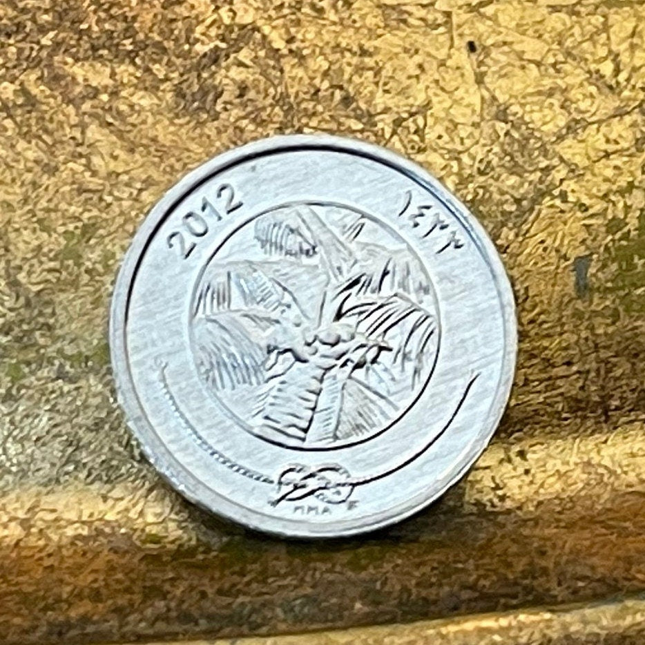 Coconut Palm 1 Laari Maldives Authentic Coin Money for Jewelry and Craft Making (Tropical Islands)