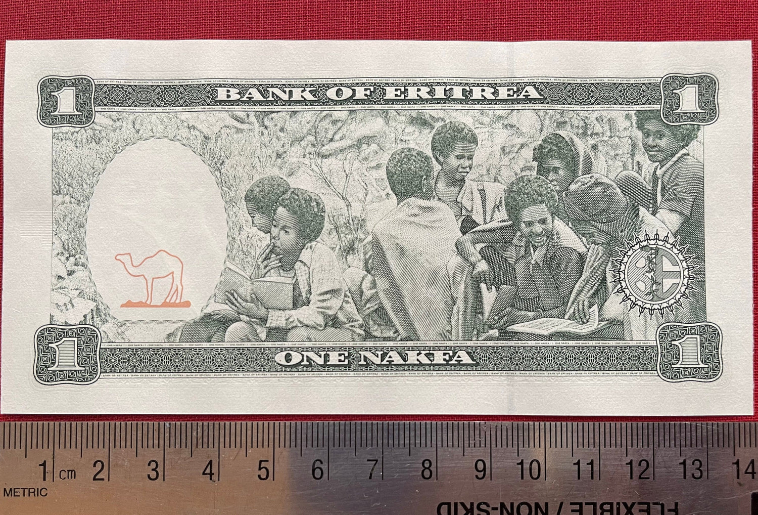 Three Girls & Youth Reading Books 1 Nafka Eritrea Authentic Banknote Money for Jewelry and Collage (Clarence Holbert) (Camel) Black Lives