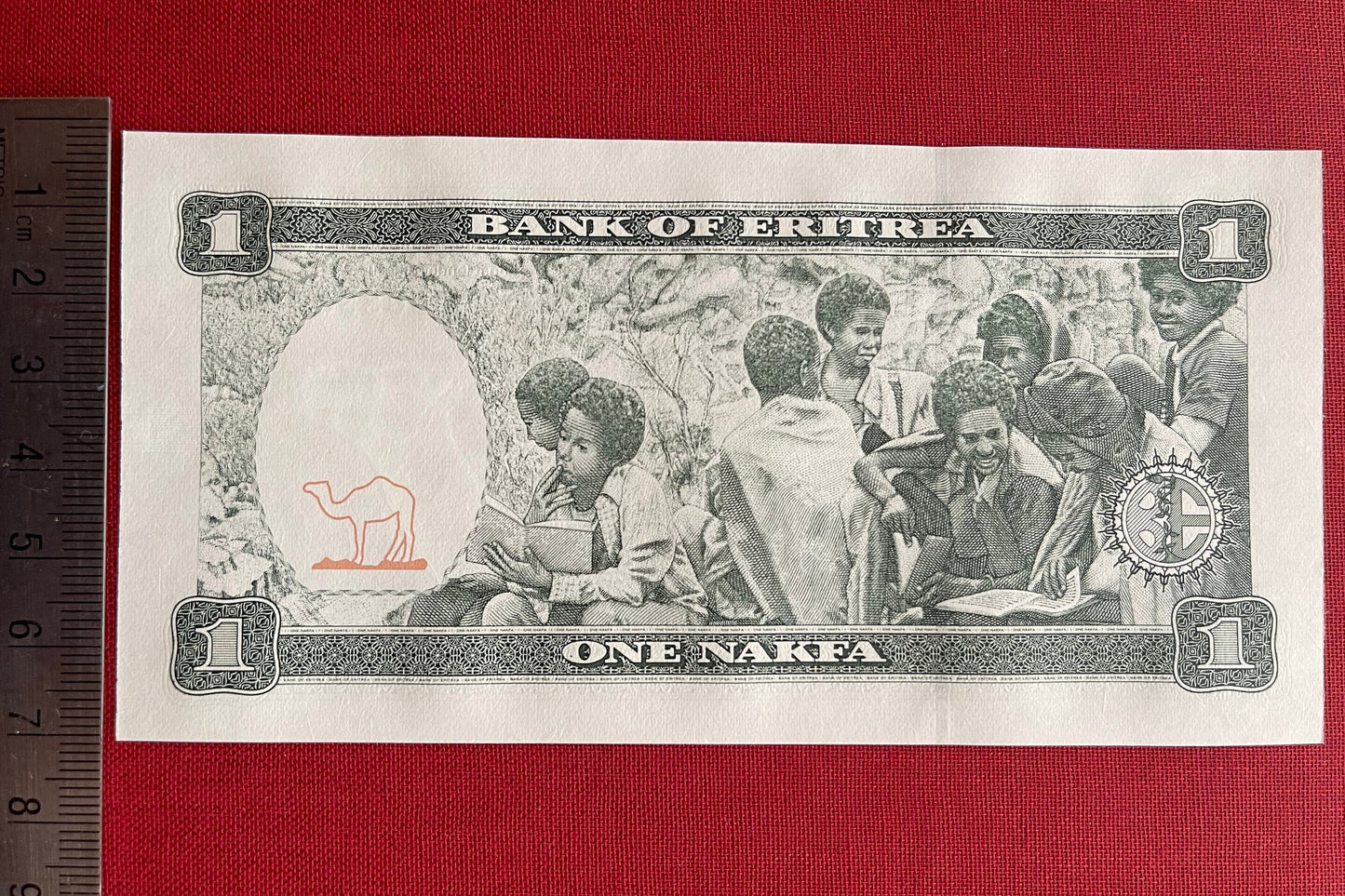 Youth Reading Books & Three Girls 1 Nafka Eritrea Authentic Banknote Money for Jewelry and Collage (Clarence Holbert) (Camel) Black Lives