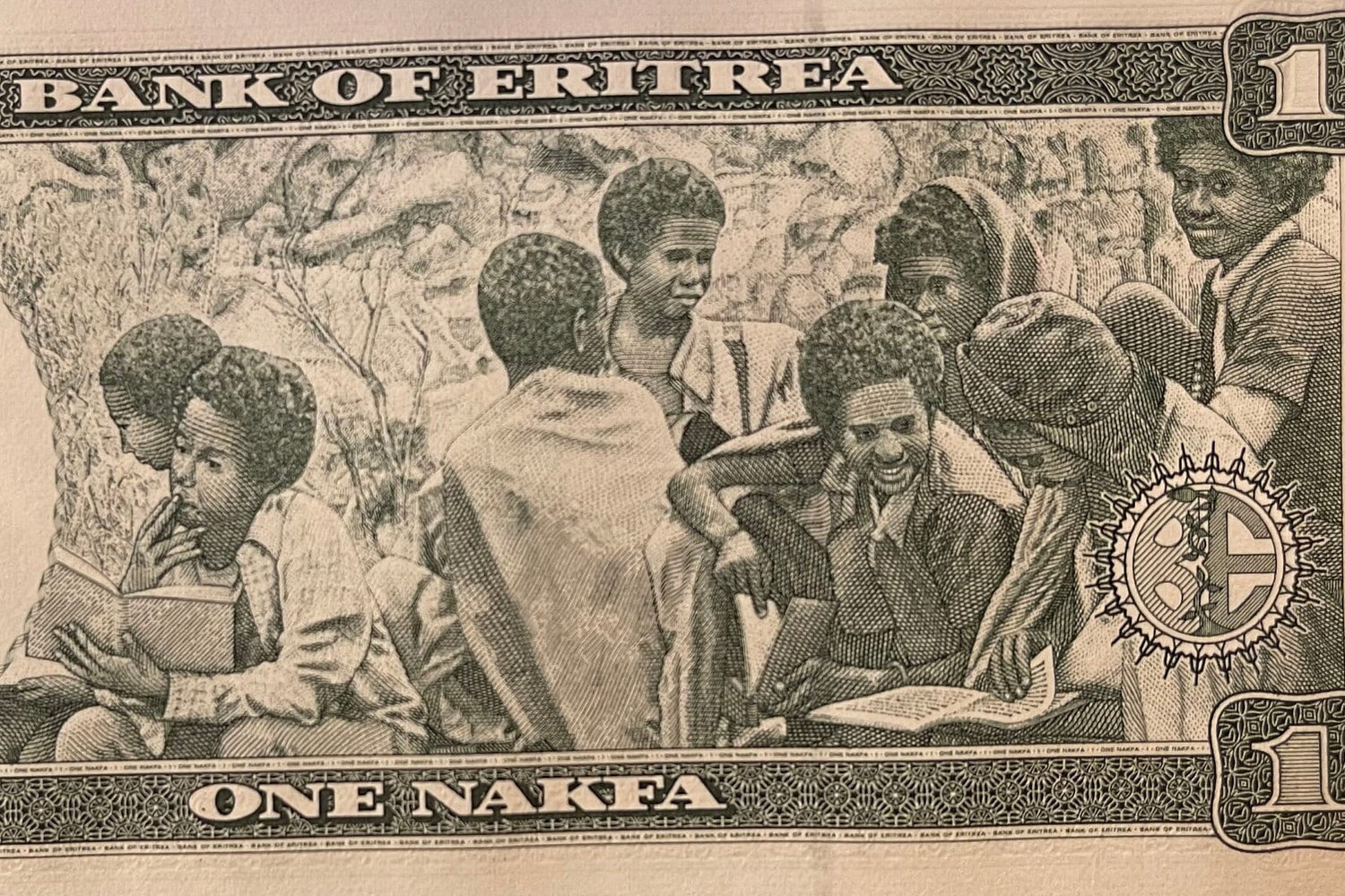 Three Girls & Youth Reading Books 1 Nafka Eritrea Authentic Banknote Money for Jewelry and Collage (Clarence Holbert) (Camel) Black Lives