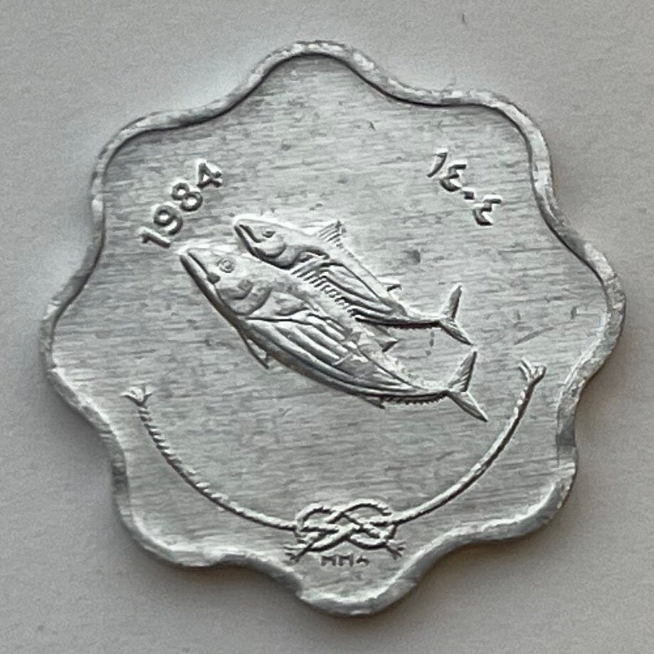 Bonito Fish & Reef Knot 5 Laari Maldives Authentic Coin Money for Jewelry and Craft Making (Scalloped Edge) (8 Notches)