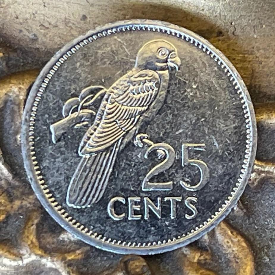 Seychelles Black Parrot 25 Cents Seychelles Authentic Coin Money for Jewelry and Craft Making