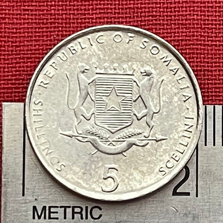 Elephant 5 Shillings Somalia Coin Money for Jewelry and Craft Making