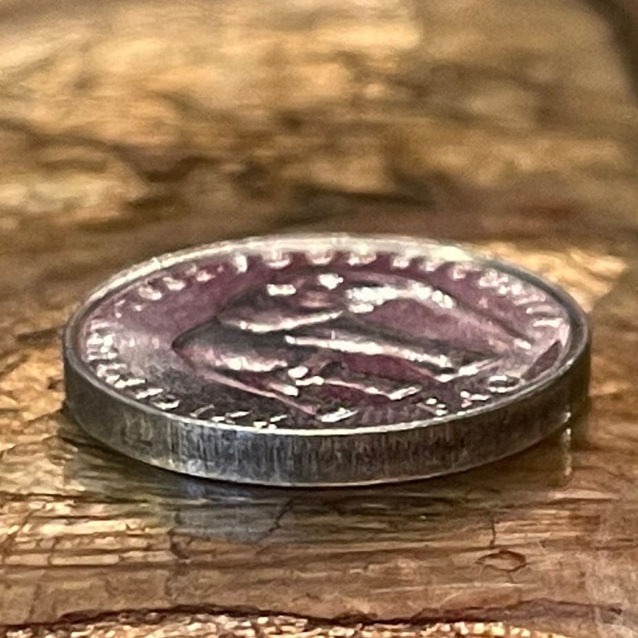 Elephant 5 Shillings Somalia Coin Money for Jewelry and Craft Making